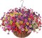 Artificial Hanging Flowers with Basket – UV Resistant Faux Silk Daisy & Bougainvillea Outdoor Porch Decor for Home, Patio, Garden & Indoor Hanging Plant Decoration